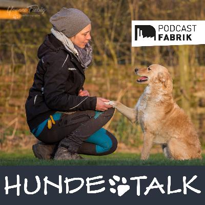 Um Rückruf wird gebeten - wie der Hund verbindlich kommt Um Rückruf wird gebeten - wie der Hund verbindlich kommt