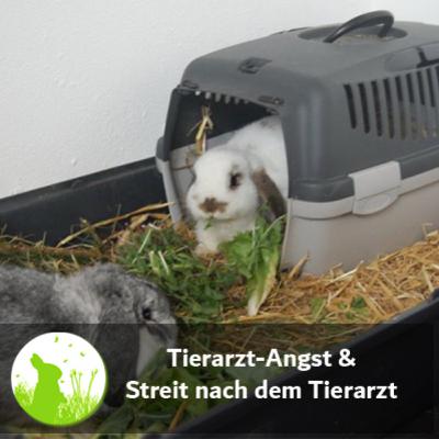 Tierarztangst und Streit nach dem Tierarzt