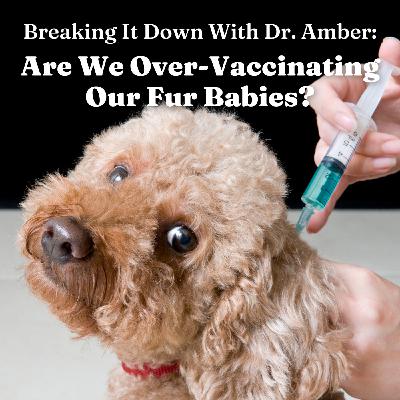 Breaking It Down with Dr. Amber: Are We Over-Vaccinating Our Pets?