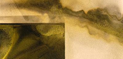 162: Election Year Zen part 8
