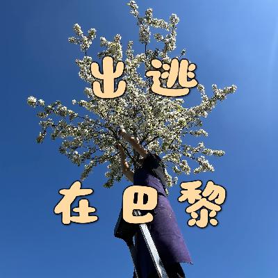 13 出逃在巴黎：放弃上海高薪，在米其林后厨模拟人生