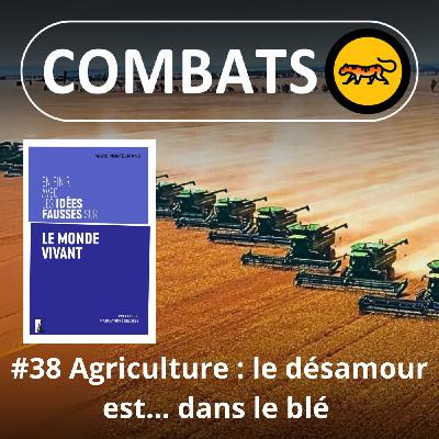 S04E38 Idées fausses : Agriculteurs, le désamour est dans... le blé