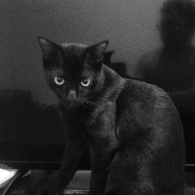 Overthinking with Lucii Bellé : Lucii Bellé bosan liat Babu !! Overthinking with Lucii Bellé : Lucii Bellé bosan liat Babu !!