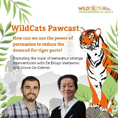 How can we use the power of persuasion to reduce demand for tiger parts?