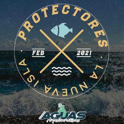 8 | Protectores: La Nueva Isla. 8 | Protectores: La Nueva Isla.