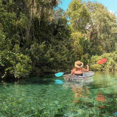Visitando Crystal River, Florida