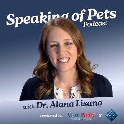 Why is My Pet Licking & Scratching? | SOP ep. 55 - Dr. Alana Lisano
