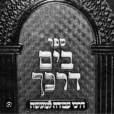 B' Yam Darkecha Shiur #88