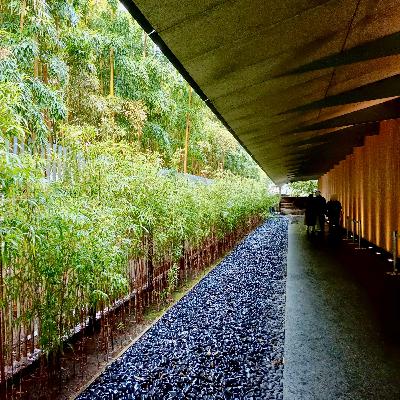 東京・京都の刀剣巡り！初めての美術館と空間がもたらす鑑賞の喜び【第92回 かたらじ】