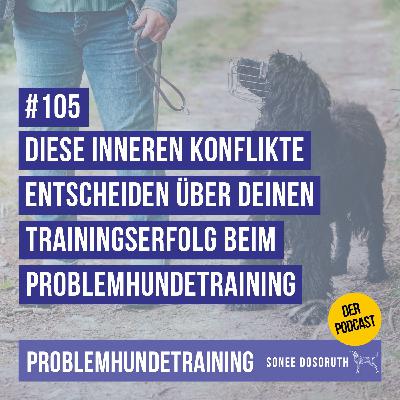 Diese inneren Konflikte entscheiden über deinen Trainingserfolg beim Problemhundetraining Diese inneren Konflikte entscheiden über deinen Trainingserfolg beim Problemhundetraining