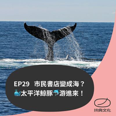 EP29 市民書店變成海？太平洋鯨🐳豚🐬游進來！