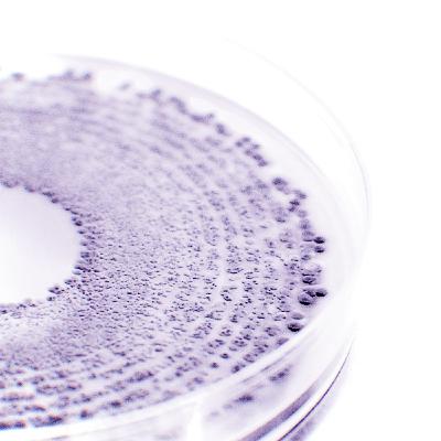 Episode 2 : Skin microbiome: our friendship with bacterias