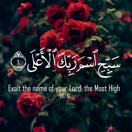 063-Al-Munafiqoon