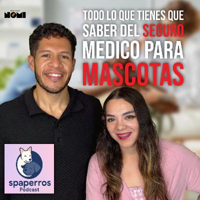 ¿Seguro para Mascotas? Más útil de lo que crees
