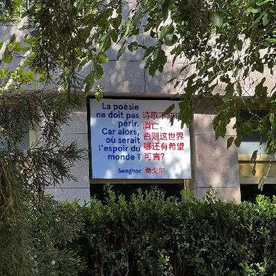 什么才是向往的生活？