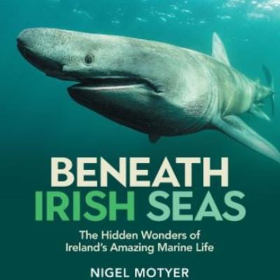 Underwater Photographer Nigel Motyer On His New Book