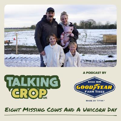 Eight missing cows and a unicorn day Eight missing cows and a unicorn day