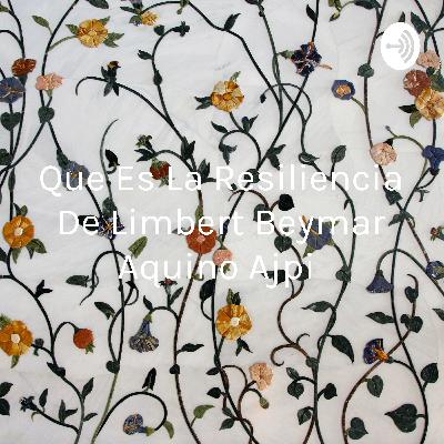 Que es la resiliencia de Limbert Aquino Ajpi