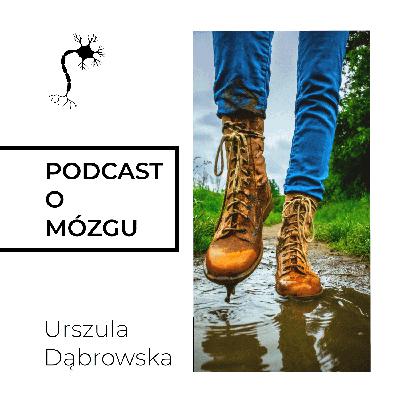#038 Wyprowadź Mózg na Spacer