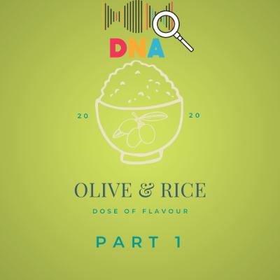 Olive & Rice DNA Part 1 Olive & Rice DNA Part 1