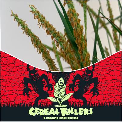 BLACK GRASS RETURNS! BLACK GRASS RETURNS!