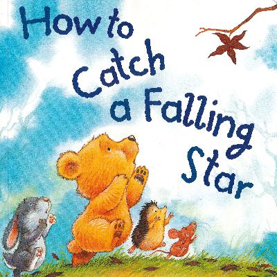 How To Catch A Falling Star