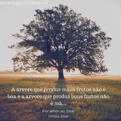 A presença do irmão José #04 A presença do irmão José #04