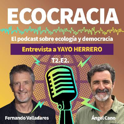 10 - ENTREVISTA A YAYO HERRRERO ¿Qué es el eco-feminismo y qué aporta a la democracia?