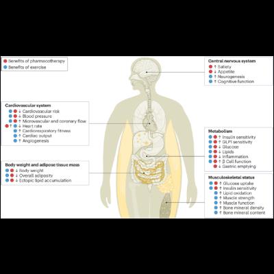 Pharmacotherapy and Exercise Management of Obesity