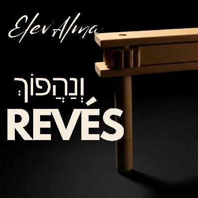 REVES - PURIM 5786 - Saleh Penhos