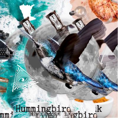 Hummingbird Blink: Nectar Poetry (Trailer)