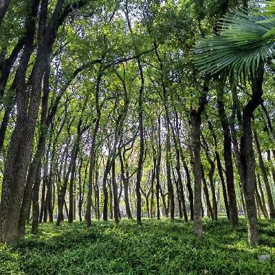 Vol.34:从“真正的热爱”聊到坚持和高行动力背后的核心驱动 Vol.34:从“真正的热爱”聊到坚持和高行动力背后的核心驱动