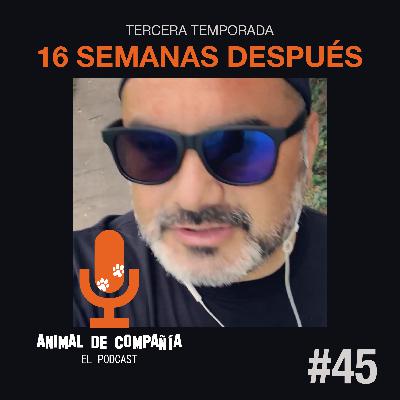 S3 Ep45: 16 Semanas después - Comienzo de la tercera Temporada