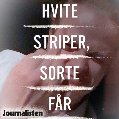 Har pressen beskyttet lille Marius?