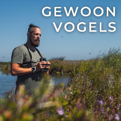 Gewoon Vogels - aflevering 4