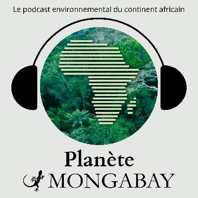 #1 Les ressources naturelles africaines, entre exploitation et préservation