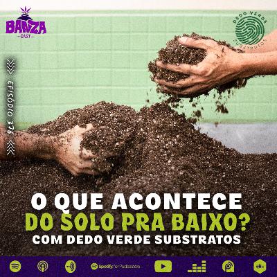 BANZAcast 376 - O QUE ACONTECE DO SOLO PRA BAIXO? com DEDO VERDE SUBSTRATOS BANZAcast 376 - O QUE ACONTECE DO SOLO PRA BAIXO? com DEDO VERDE SUBSTRATOS