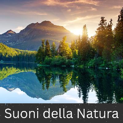 Ambiente che si infrange sulle onde dell'oceano - 10 ore per dormire, meditare e rilassarsi Ambiente che si infrange sulle onde dell'oceano - 10 ore per dormire, meditare e rilassarsi