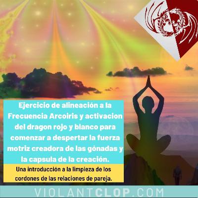 Ejercicio de alineación a la Frecuencia Arcoíris y activación del dragón rojo y blanco para comenzar a despertar la fuerza motriz creadora de las gónadas y la capsula de la creación.