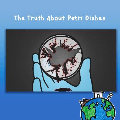 The Truth About Petri Dishes 🧫 The Truth About Petri Dishes 🧫