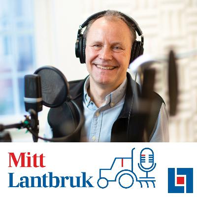 Avsnitt 65 - Vad händer om smittan kommer till gården? Experternas tips på hur du kan förbereda dig