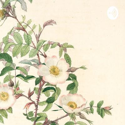 はじめまして数独人わさこです。