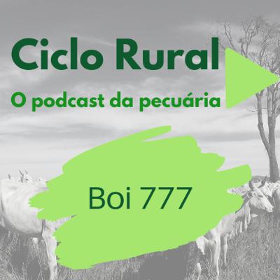 #05 - Boi 777