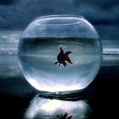 Borrowed water