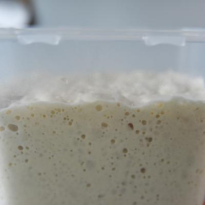 什麼是中種法、愛做麵包的你真的懂它嗎？(上集)