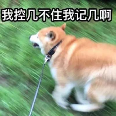 EP38. 神经心理学轶事集：当世界开始光怪陆离