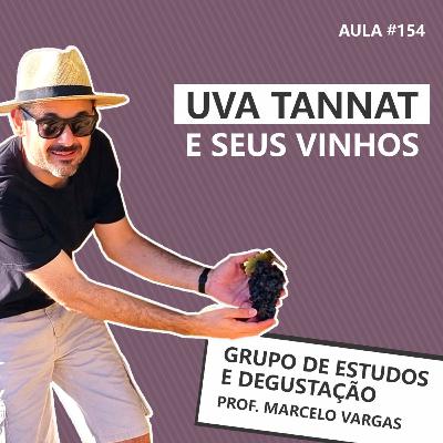 PODCAST aula 154 - Uva Tannat e seus vinhos- Prof. Marcelo Vargas