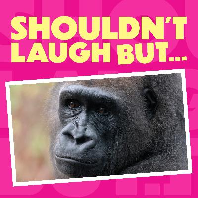 100 Men vs 1 GORILLA! Day 7 of the 12 Laughs of Christmas 100 Men vs 1 GORILLA! Day 7 of the 12 Laughs of Christmas