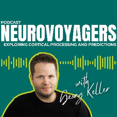The Brain’s Predictive Power: A Conversation with Georg Keller