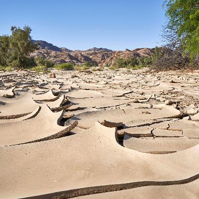 Mammutprojekt: Wie weit ist die "Grüne Mauer" in Afrika?